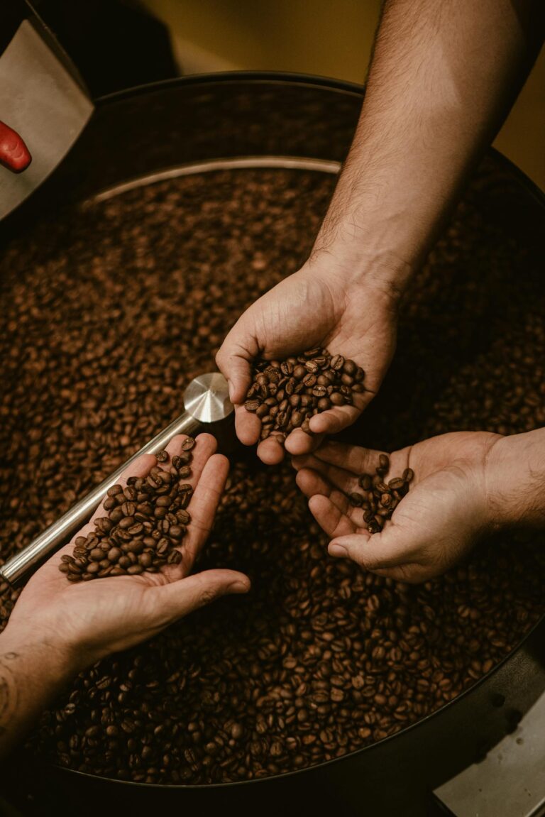 Close-up of hands holding coffee beans from a roasting machine, showing food preparation.